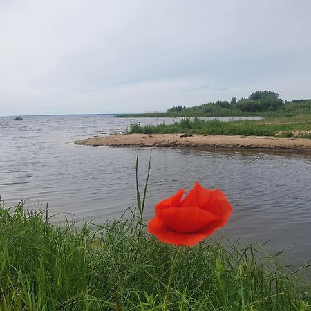 Paeevatalu Camping Hotel Vilusi Екстериор снимка