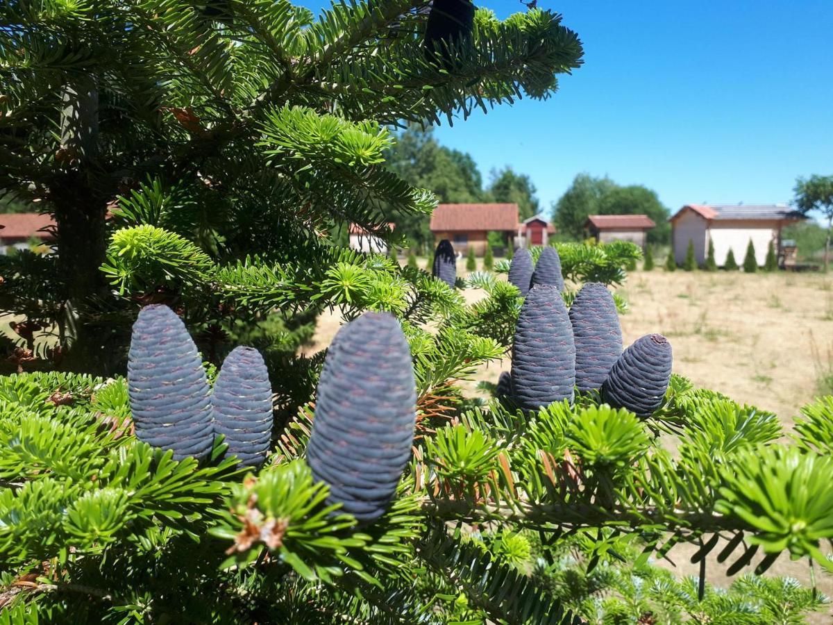 Paeevatalu Camping Hotel Vilusi Екстериор снимка