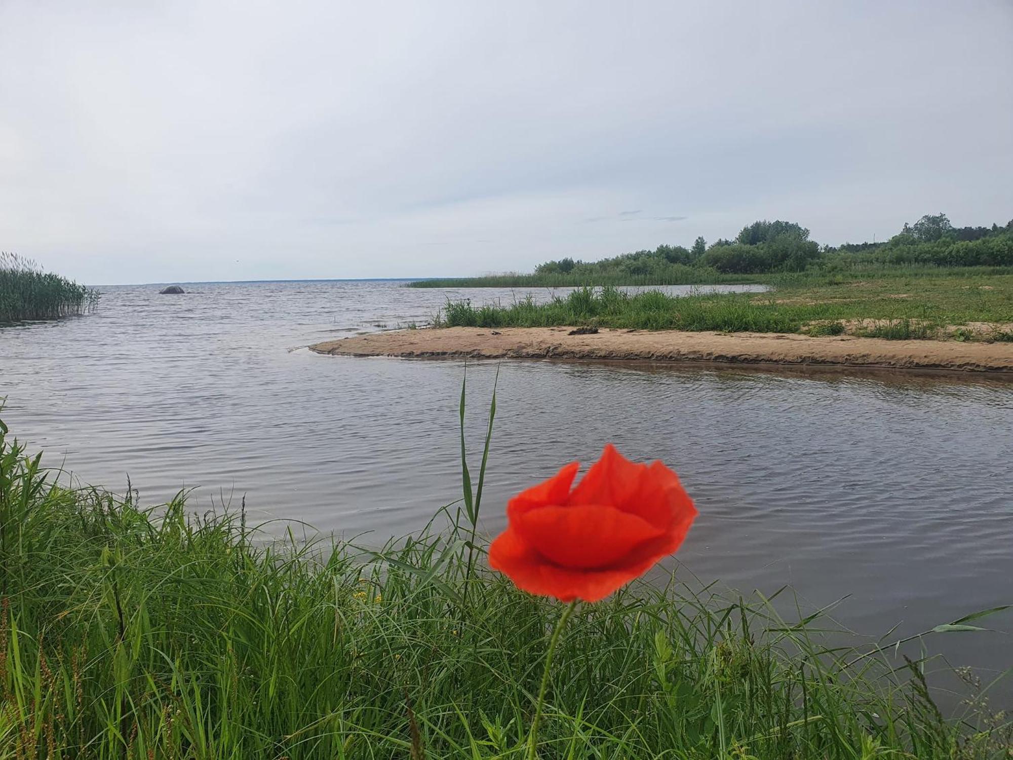 Paeevatalu Camping Hotel Vilusi Екстериор снимка